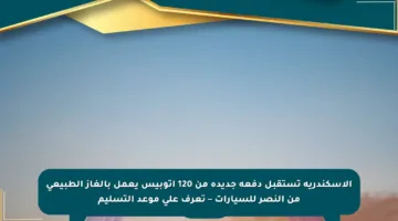 الإسكندرية تستقبل دفعة جديدة من 120 أتوبيس يعمل بالغاز الطبيعي من النصر للسيارات – تعرف على موعد التسليم